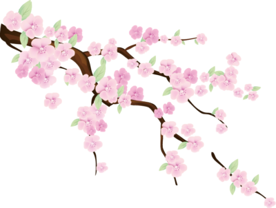 韓国でもついに大流行してます　新型コロナ