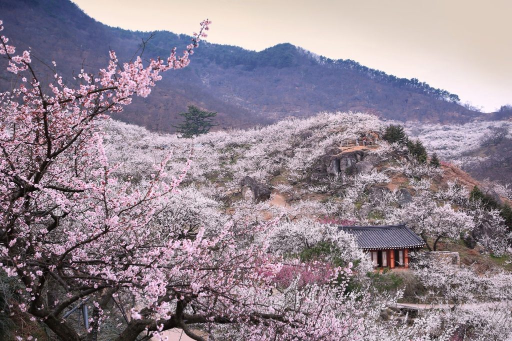 기통차다　 ～超◯◯な感じ～